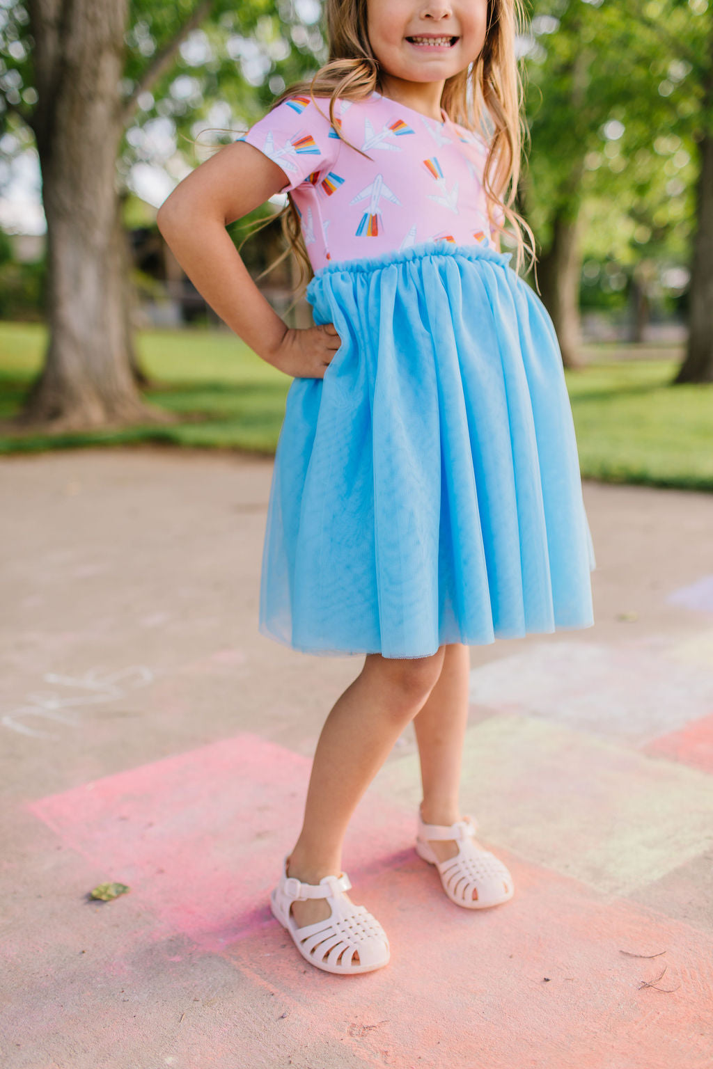 Tutu Dress in Take Flight
